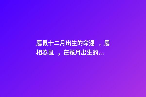 屬鼠十二月出生的命運，屬相為鼠，在幾月出生的話命最好？ 鼠年臘月出生命好嗎-第1張-觀點-玄機派